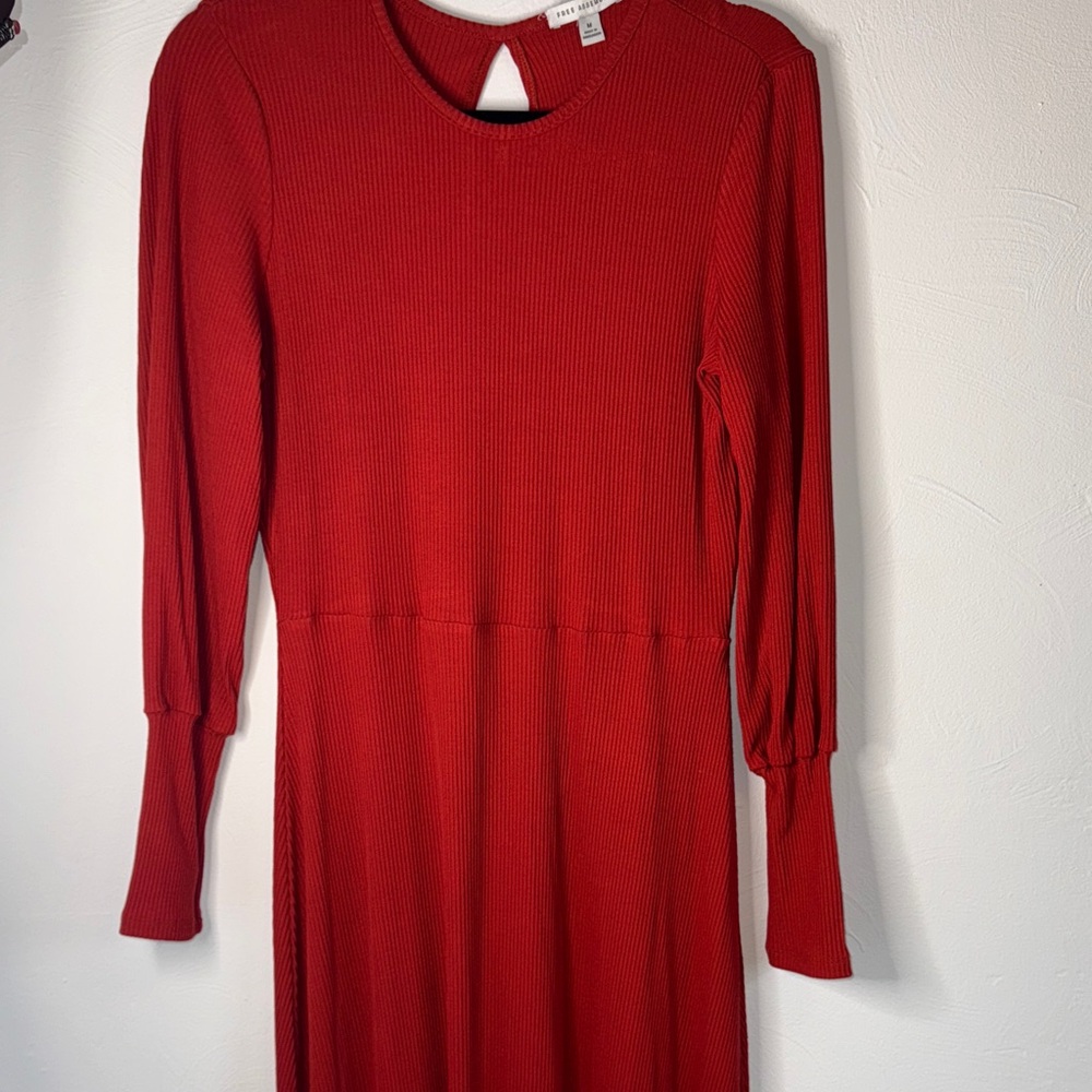 Free Assembly Burnt Orange Chic Long Sleeve Dress Heavy/Warm Fall Lagenlook